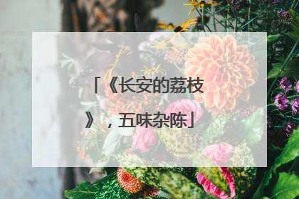 《长安的荔枝》，五味杂陈