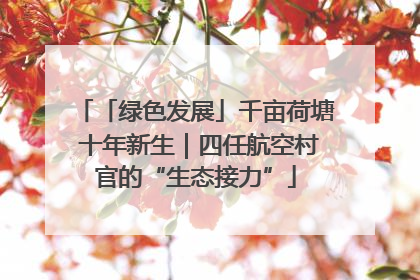 「绿色发展」千亩荷塘 十年新生｜四任航空村官的“生态接力”