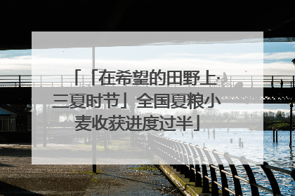「在希望的田野上·三夏时节」全国夏粮小麦收获进度过半