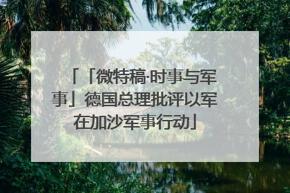 「微特稿·时事与军事」德国总理批评以军在加沙军事行动