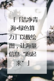 「洁净青海•绿色算力」以数绘图，让海量信息“跑起来”