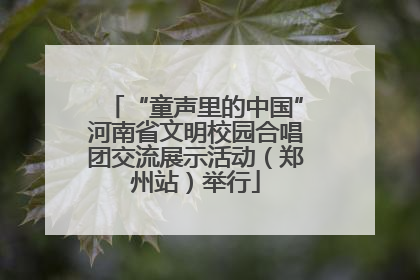 “童声里的中国”河南省文明校园合唱团交流展示活动（郑州站）举行