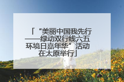 “美丽中国我先行——绿动双行线六五环境日嘉年华”活动在太原举行