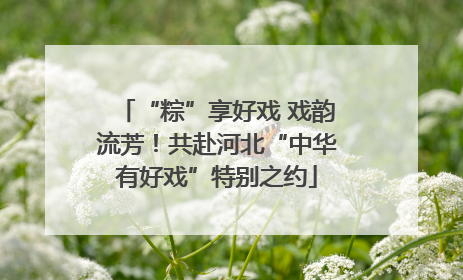 “粽”享好戏 戏韵流芳！共赴河北“中华有好戏”特别之约