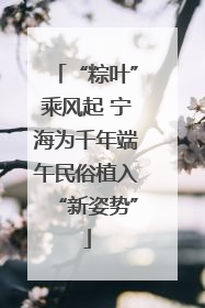 “粽叶”乘风起 宁海为千年端午民俗植入“新姿势”