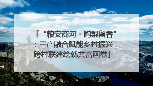 “粮安商河・陶梨留香”：三产融合赋能乡村振兴 跨村联建绘就共富画卷