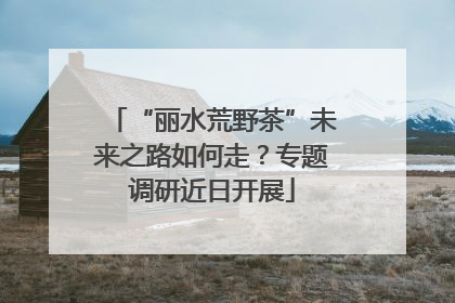 “丽水荒野茶”未来之路如何走？专题调研近日开展