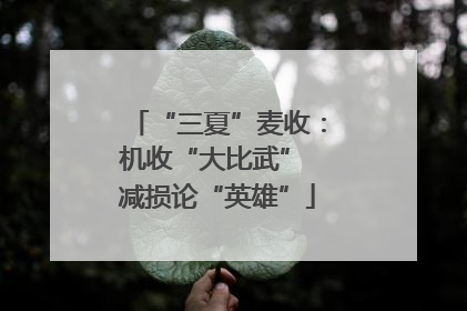 “三夏”麦收：机收“大比武” 减损论“英雄”