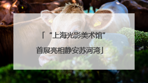 “上海光影美术馆”首展亮相静安苏河湾