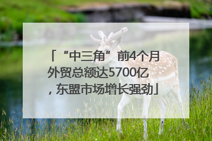 “中三角”前4个月外贸总额达5700亿，东盟市场增长强劲
