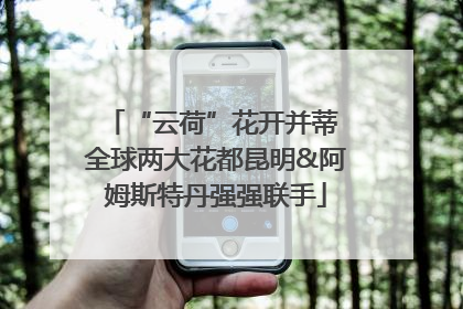 “云荷”花开并蒂 全球两大花都昆明&阿姆斯特丹强强联手