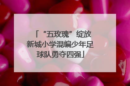 “五玫瑰”绽放 新城小学混编少年足球队勇夺四强