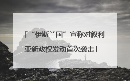 “伊斯兰国”宣称对叙利亚新政权发动首次袭击