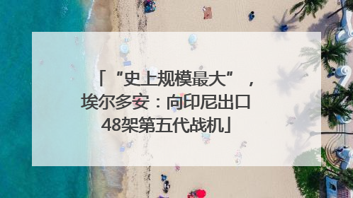 “史上规模最大”，埃尔多安：向印尼出口48架第五代战机