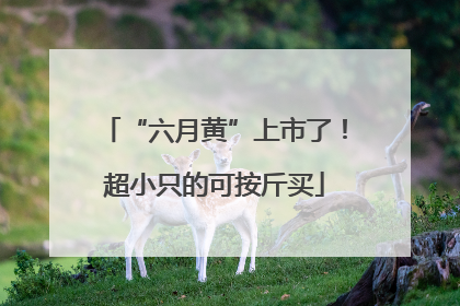 “六月黄”上市了！超小只的可按斤买