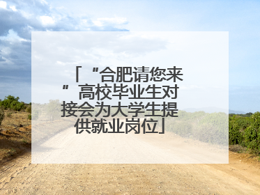 “合肥请您来”高校毕业生对接会为大学生提供就业岗位
