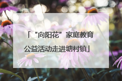 “向阳花”家庭教育公益活动走进塘村镇