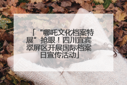 “哪吒文化档案特展”抢眼！四川宜宾翠屏区开展国际档案日宣传活动