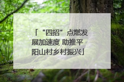 “四招”点燃发展加速度 助推平阳山村乡村振兴