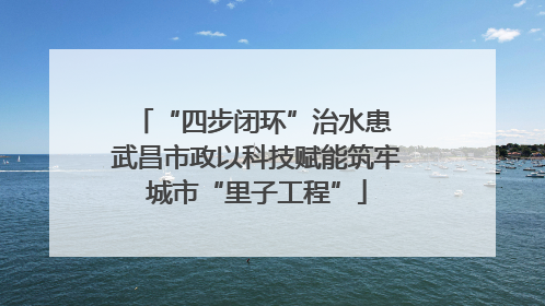 “四步闭环”治水患 武昌市政以科技赋能筑牢城市“里子工程”
