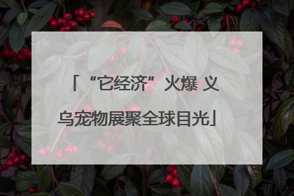 “它经济”火爆 义乌宠物展聚全球目光