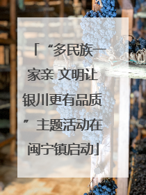“多民族一家亲 文明让银川更有品质”主题活动在闽宁镇启动