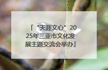 “天涯文心”2025年三亚市文化发展主题交流会举办