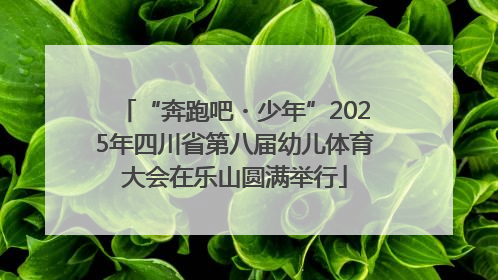 “奔跑吧・少年”2025年四川省第八届幼儿体育大会在乐山圆满举行