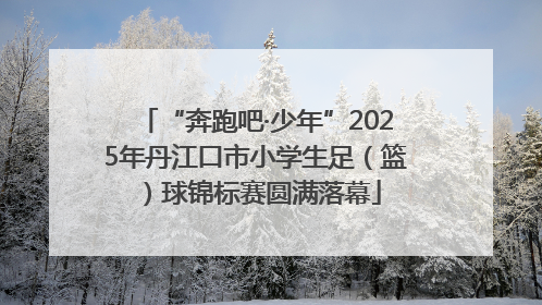 “奔跑吧·少年”2025年丹江口市小学生足（篮）球锦标赛圆满落幕