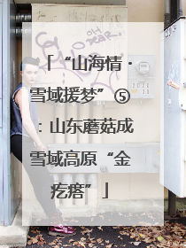 “山海情・雪域援梦”⑤：山东蘑菇成雪域高原“金疙瘩”