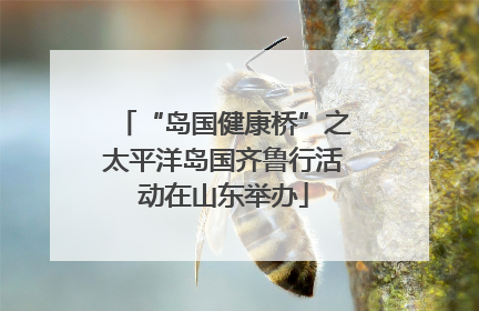 “岛国健康桥”之太平洋岛国齐鲁行活动在山东举办