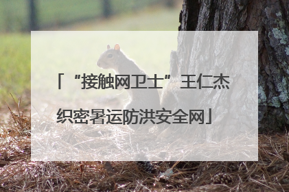 “接触网卫士”王仁杰织密暑运防洪安全网