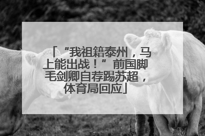 “我祖籍泰州，马上能出战！”前国脚毛剑卿自荐踢苏超，体育局回应