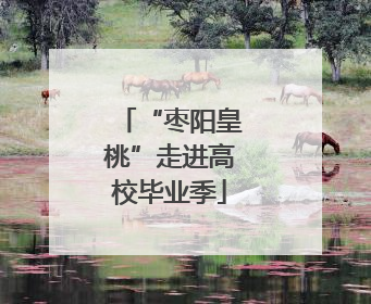 “枣阳皇桃”走进高校毕业季