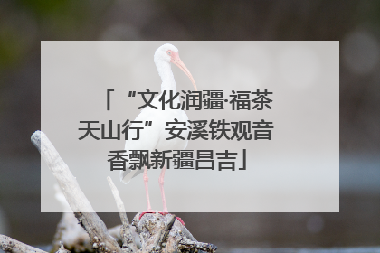 “文化润疆·福茶天山行”安溪铁观音香飘新疆昌吉