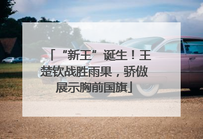 “新王”诞生！王楚钦战胜雨果，骄傲展示胸前国旗