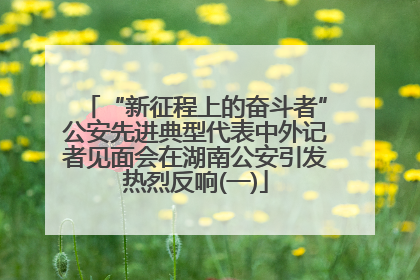 “新征程上的奋斗者”公安先进典型代表中外记者见面会在湖南公安引发热烈反响(一)