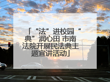 “法”进校园“典”润心田 市南法院开展民法典主题宣讲活动