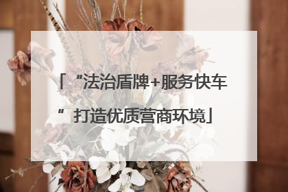 “法治盾牌+服务快车”打造优质营商环境