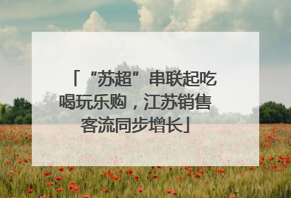 “苏超”串联起吃喝玩乐购，江苏销售客流同步增长