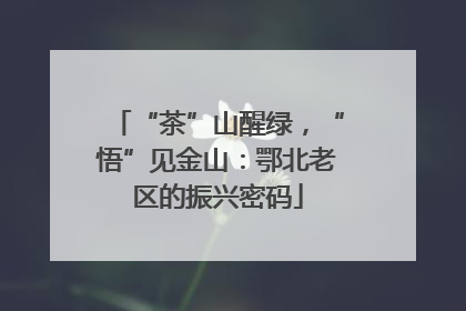 “茶”山醒绿，“悟”见金山：鄂北老区的振兴密码