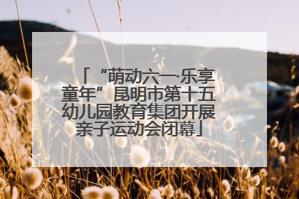 “萌动六一·乐享童年”昆明市第十五幼儿园教育集团开展亲子运动会闭幕