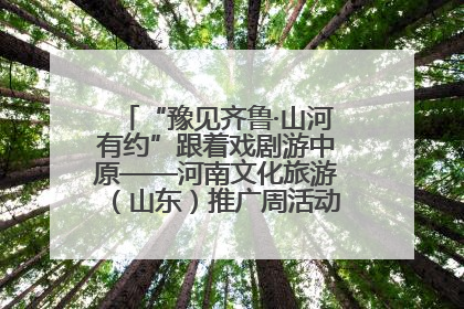 “豫见齐鲁·山河有约”跟着戏剧游中原——河南文化旅游（山东）推广周活动菏泽站活动举行