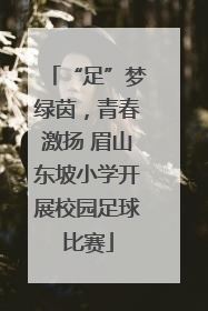 “足”梦绿茵，青春激扬 眉山东坡小学开展校园足球比赛