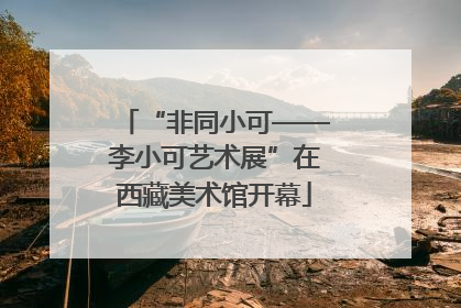 “非同小可——李小可艺术展”在西藏美术馆开幕