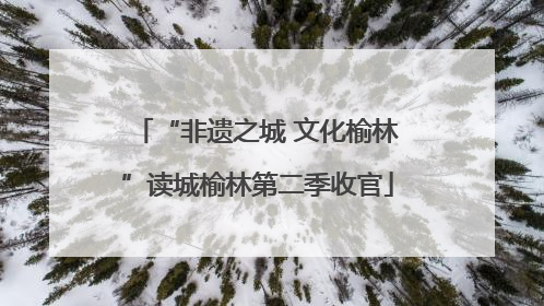 “非遗之城 文化榆林”读城榆林第二季收官
