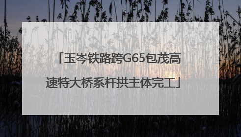 玉岑铁路跨G65包茂高速特大桥系杆拱主体完工