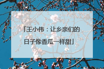 王小伟：让乡亲们的日子像香瓜一样甜