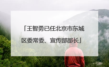 王智勇已任北京市东城区委常委、宣传部部长