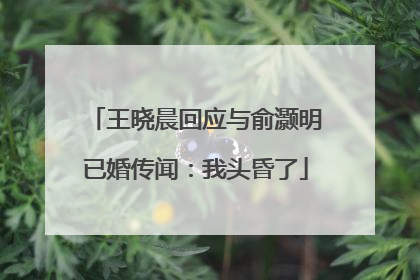 王晓晨回应与俞灏明已婚传闻：我头昏了